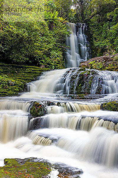 McLean Falls  Catlins Forest Park; Region Otago  Neuseeland