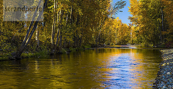 Herbstfarben  die sich in einem ruhigen Mission Creek spiegeln; Kelowna  British Columbia  Kanada