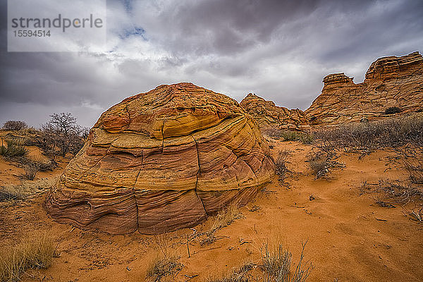 Die erstaunlichen Sandstein- und Felsformationen von South Coyote Butte; Arizona  Vereinigte Staaten von Amerika