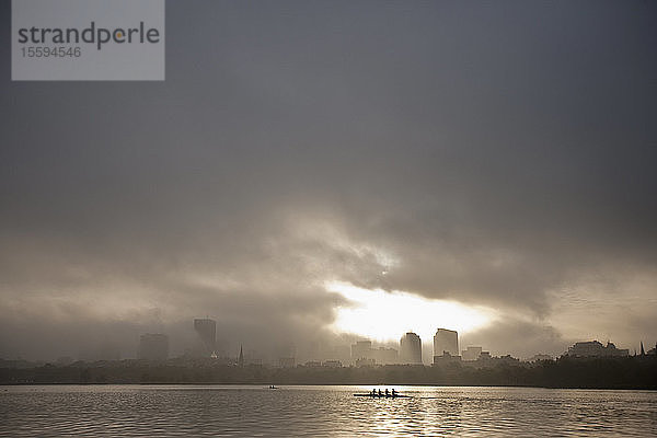 Rudern auf dem Charles River  Boston  Massachusetts  USA