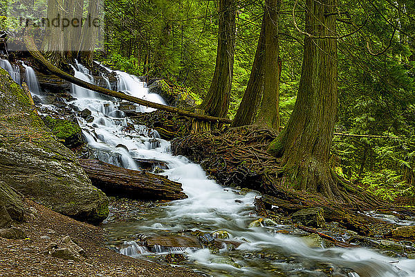 Bridal Veil Falls  Bridal Veil Falls Provincial Park; British Columbia  Kanada