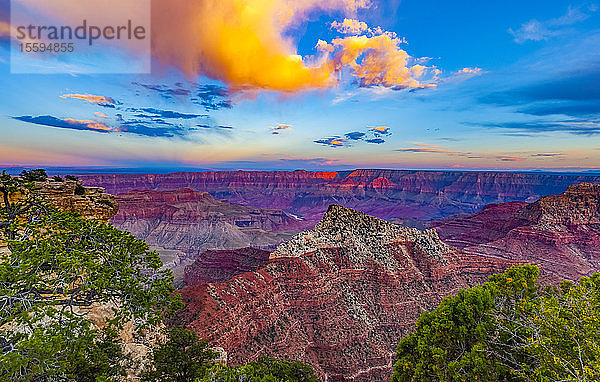 North Rim des Grand Canyon bei Sonnenuntergang; Arizona  Vereinigte Staaten von Amerika