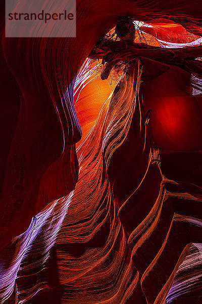 Upper Antelope Canyon; Arizona  Vereinigte Staaten von Amerika