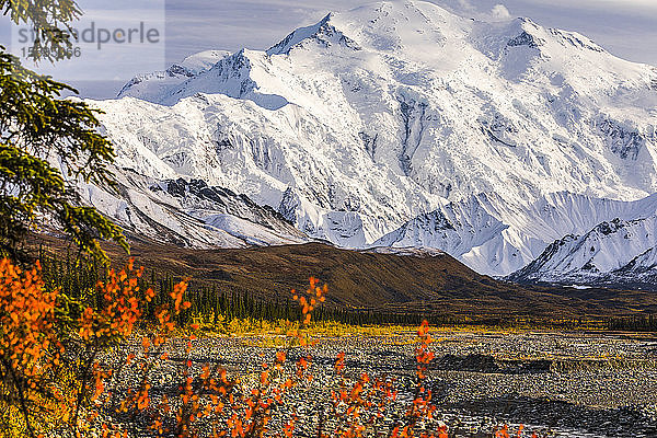 Der Denali leuchtet im Herbst über dem Muddy River  gesehen von der Nähe des Peters Glacier (im Tal rechts sichtbar) im Hinterland des Denali National Park and Preserve; Alaska  Vereinigte Staaten von Amerika