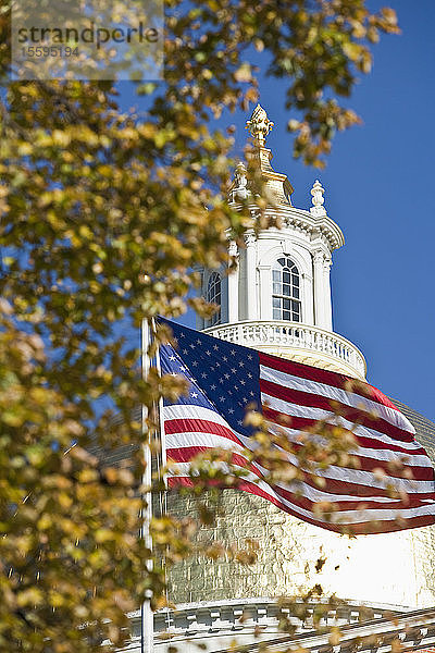 Baum und eine amerikanische Flagge vor einem Regierungsgebäude  Massachusetts State House  Boston  Massachusetts  USA