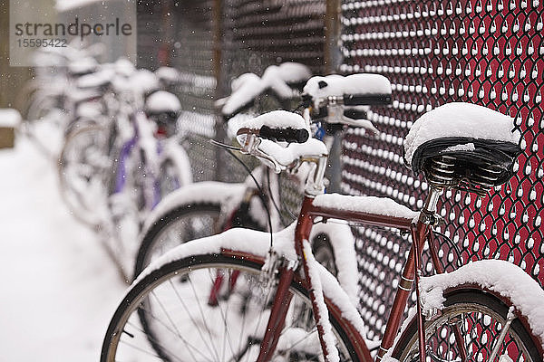 Mit Schnee bedeckte Fahrräder  Beacon Hill  Boston  Suffolk County  Massachusetts  USA