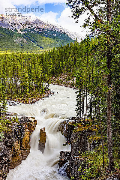 Sunwapta Falls  Sunwapta River  Jasper National Park; Alberta  Kanada