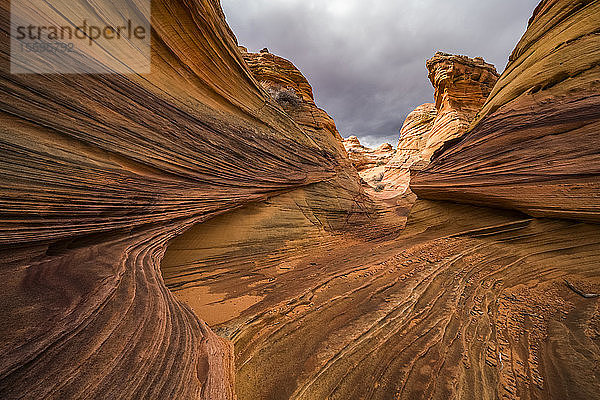 Die erstaunlichen Sandstein- und Felsformationen von South Coyote Butte; Arizona  Vereinigte Staaten von Amerika