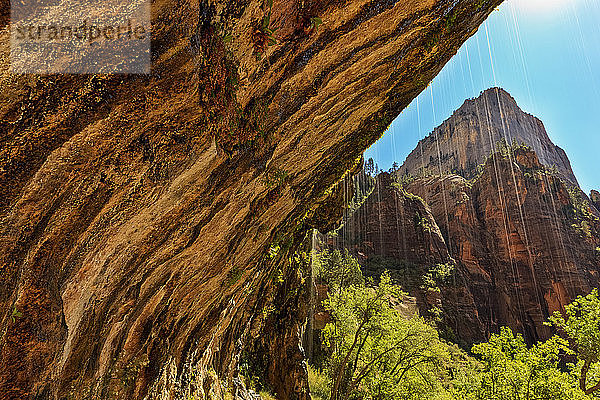 Weinende Wand  Zion National Park; Utah  Vereinigte Staaten von Amerika