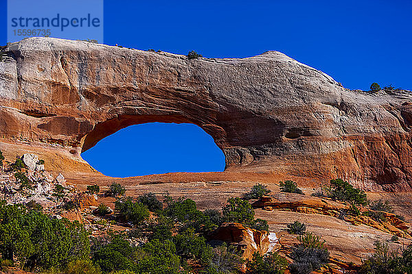 Natürliche Bogenformation  Arches National Park; Utah  Vereinigte Staaten von Amerika