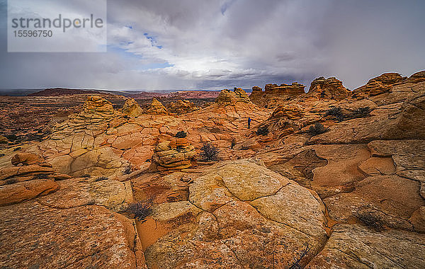 Die erstaunlichen Sandstein- und Felsformationen von South Coyote Butte; Arizona  Vereinigte Staaten von Amerika