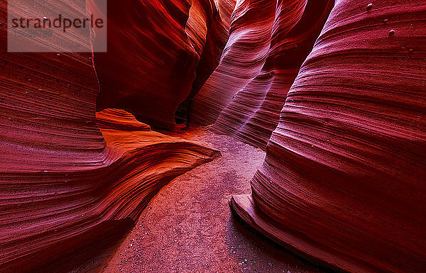 Rattlesnake Canyon; Arizona  Vereinigte Staaten von Amerika