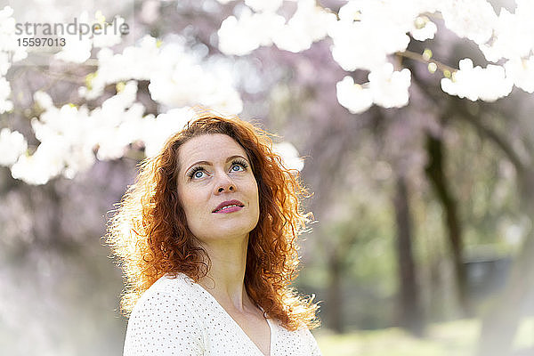 Porträt einer Frau mit roten Haaren inmitten von Kirschblüten; Vancouver  British Columbia  Kanada