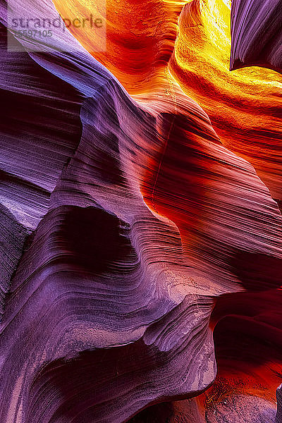 Rattlesnake Canyon; Arizona  Vereinigte Staaten von Amerika