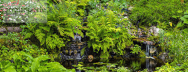 Blühender Landschaftsgarten mit Wasserspiel; Hudson  Quebec  Kanada