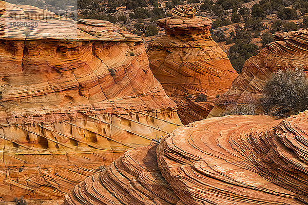 Die erstaunlichen Sandstein- und Felsformationen von South Coyote Butte; Arizona  Vereinigte Staaten von Amerika