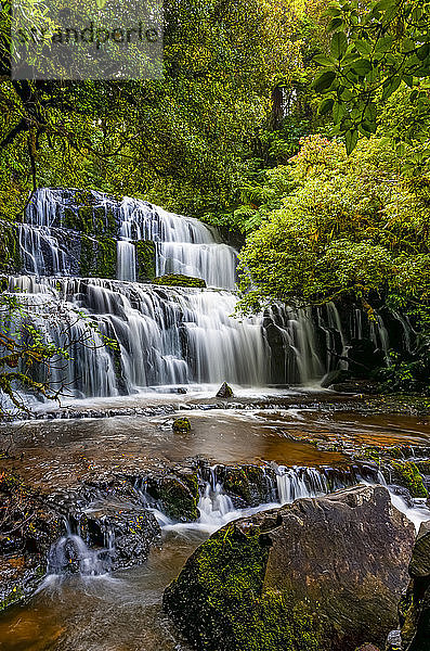 Purakaunui Falls; Neuseeland