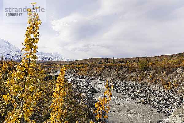 Der Muddy River fließt im Herbst durch ein abgelegenes Gebiet des Denali National Park and Preserve; Alaska  Vereinigte Staaten von Amerika