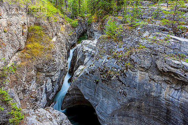 Wasserfall  Jasper National Park; Alberta  Kanada