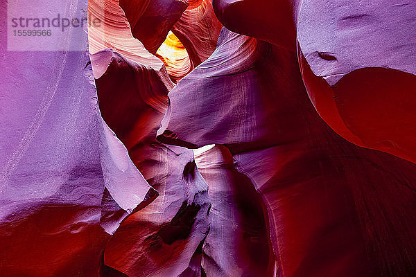 Lower Antelope Canyon; Arizona  Vereinigte Staaten von Amerika