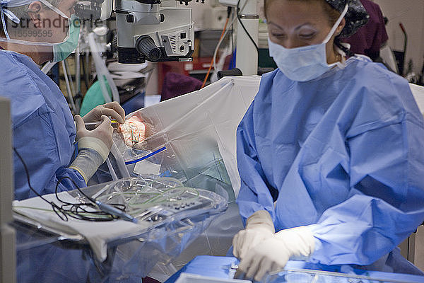 Chirurgische Technikerin  die während einer Kataraktoperation eine Spülung in das Auge injiziert