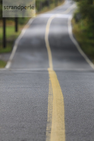 Verschwindende Fahrbahn mit gelber Linie in Dover  Massachusetts  USA