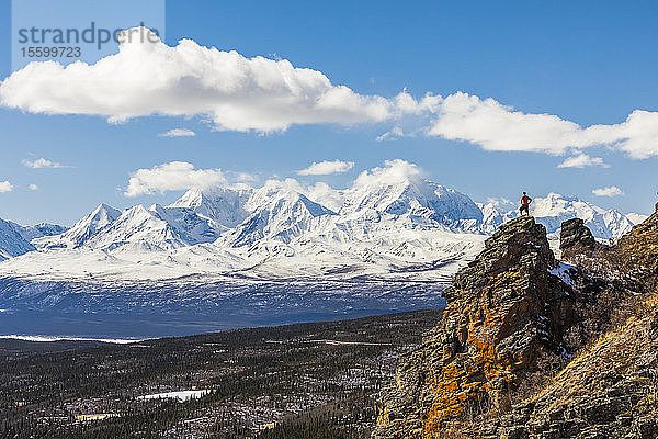 Ein Wanderer steht auf einem Felsvorsprung am Donnelly Dome und genießt den Blick auf den Mount Moffit und die Alaska Range; Alaska  Vereinigte Staaten von Amerika