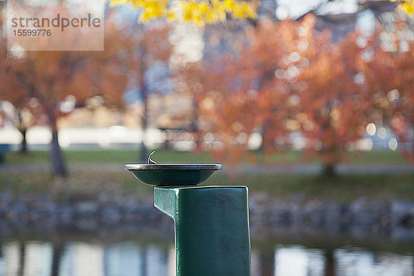 Wasserfontäne in einem Park  Boston Esplanade  Boston  Massachusetts  USA