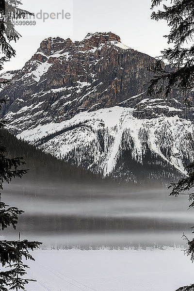 Ein schneebedeckter Berg mit Nebel über einem schneebedeckten See  eingerahmt von immergrünen Bäumen am Abend; Field  British Columbia  Kanada