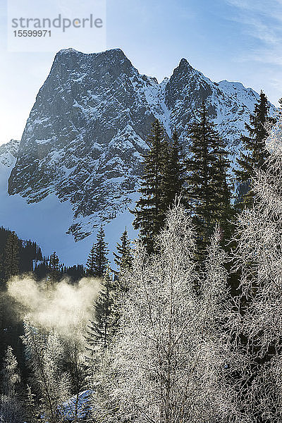 Schneebedeckte Berggipfel umrahmt von immergrünen Bäumen mit warmem Licht bei Sonnenaufgang; Field  British Columbia  Kanada