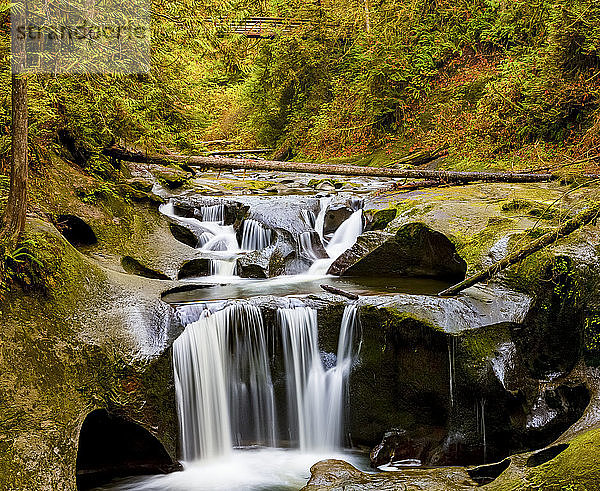 Cliff Falls  zahlreiche Wasserfälle  die über gestufte Becken und Felsvorsprünge fließen; Maple Ridge  British Columbia  Kanada