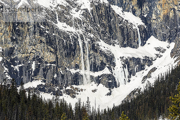 Nahaufnahme einer Bergklippe mit Lawinenschnee  der über die Klippen stürzt; Field  British Columbia  Kanada