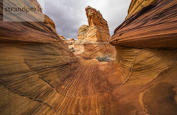 Die erstaunlichen Sandstein- und Felsformationen von South Coyote Butte; Arizona  Vereinigte Staaten von Amerika