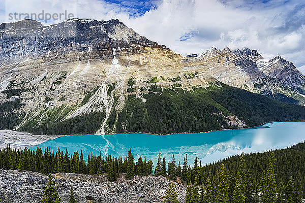 Hellblaues Wasser des Peyto Lake in den Rocky Mountains des Banff National Park entlang des Icefield Parkway; Improvement District No. 9  Alberta  Kanada