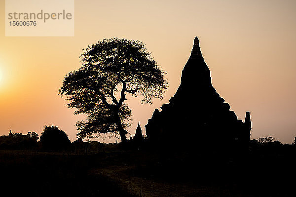 Silhouette eines buddhistischen Tempels bei Sonnenuntergang; Bagan  Mandalay Region  Myanmar