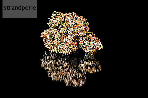 Getrocknete und ausgehärtete Cannabisblüte  reflektiert auf einer schwarzen Oberfläche