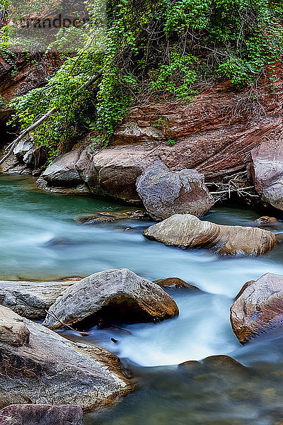 Fluss im Zion National Park; Utah  Vereinigte Staaten von Amerika