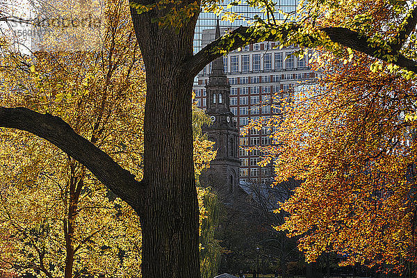 Boston Public Garden im Herbst  Boston  Massachusetts  USA