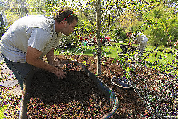 Landschaftsgärtner  der einen Garten mit einer Schubkarre mulcht