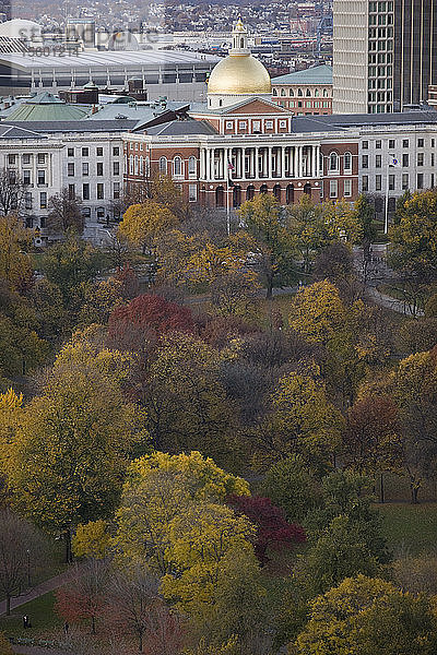 Bäume in einem Park mit Gebäuden im Hintergrund  Boston Common  Massachusetts State Capitol  Beacon Hill  Boston  Massachusetts  USA