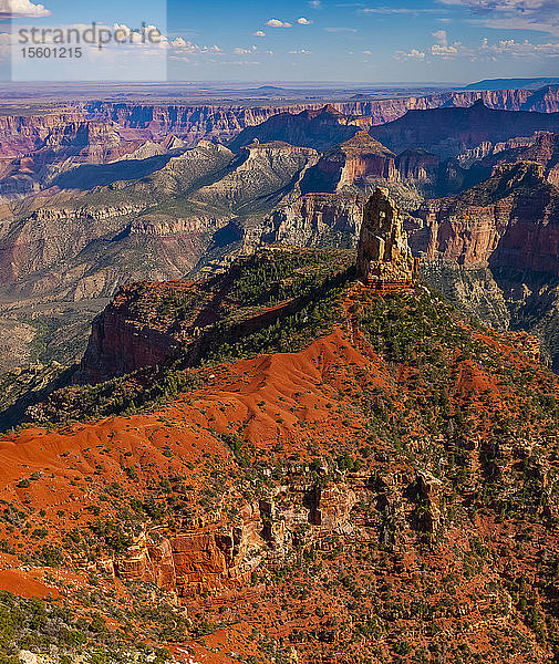 Nordrand des Grand Canyon; Arizona  Vereinigte Staaten von Amerika