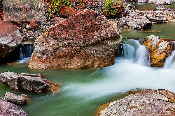 Fluss im Zion National Park; Utah  Vereinigte Staaten von Amerika