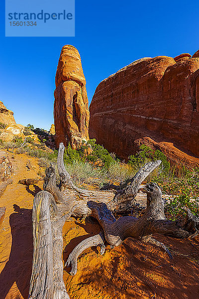 Felsformationen im Arches National Park; Utah  Vereinigte Staaten von Amerika