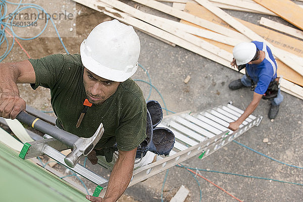 Zimmerleute auf einer ausgefahrenen Leiter bei der Verlegung von Verschalungen auf einer Baustelle