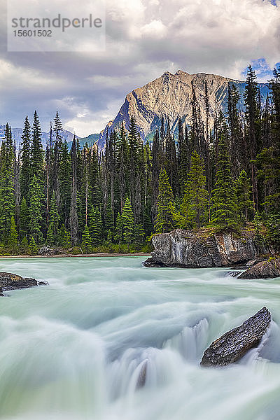 Smaragdfluss  Yoho-Nationalpark; Britisch-Kolumbien  Kanada