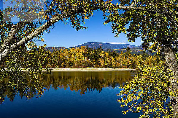 Herbstlich gefärbter Wald an einem ruhigen See in den Kaskaden; British Columbia  Kanada