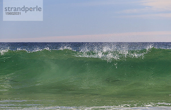 Brechende Welle am Crescent Beach  Block Island  Rhode Island  USA