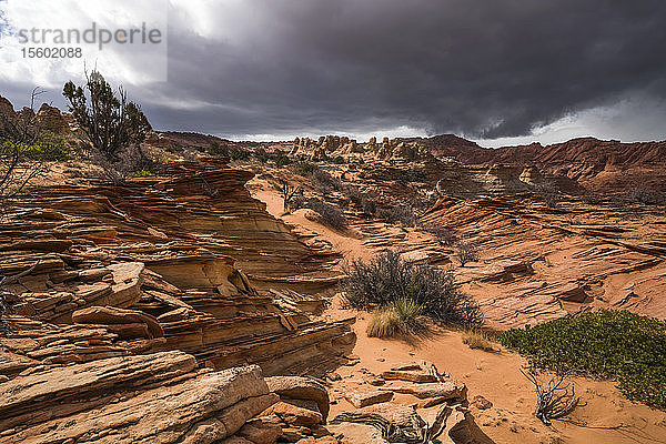 Die erstaunlichen Sandstein- und Felsformationen von South Coyote Butte; Arizona  Vereinigte Staaten von Amerika