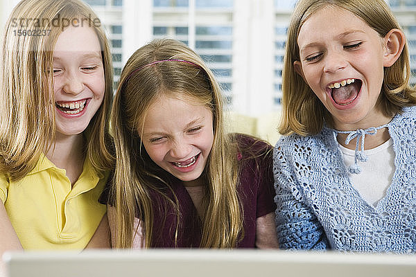 Blick auf drei Freunde  die auf einen Laptop schauen.
