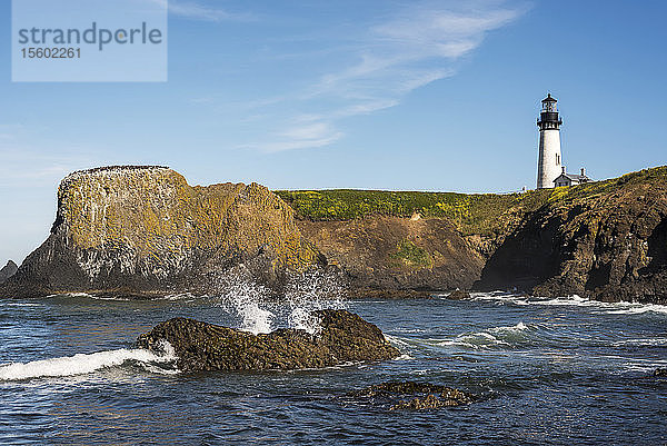 Ein schöner Leuchtturm befindet sich am Yaquina Head an der Küste von Oregon; Newport  Oregon  Vereinigte Staaten von Amerika